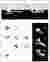 05_Mesoscale Objects Design