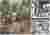 Elevations and interiors