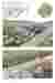3D views