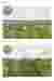 3D views