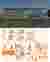 04_Timeline Diagram (1)