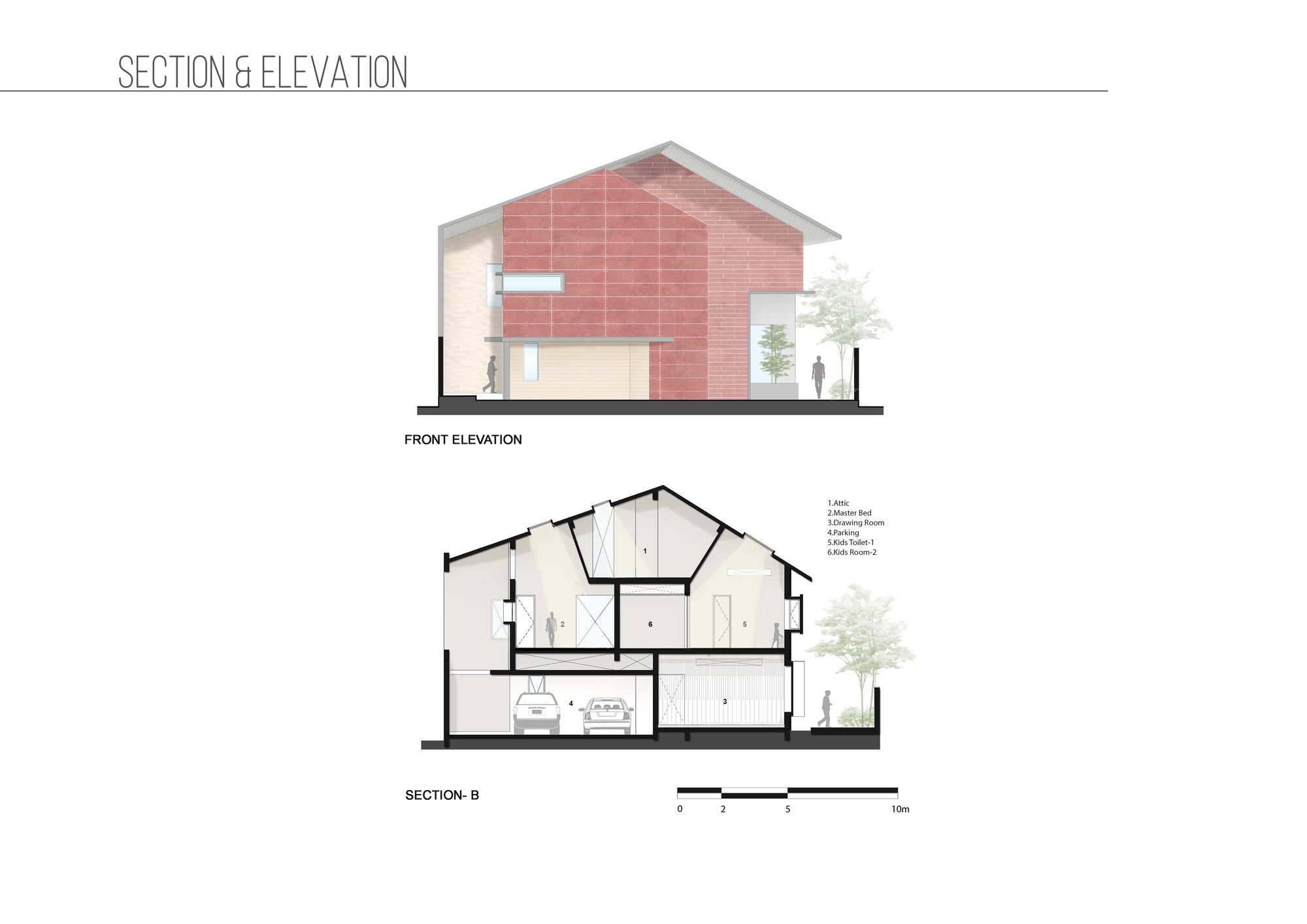 Section & Elevation - 1