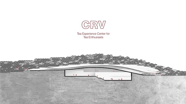 CRV - Tea Experience Center 