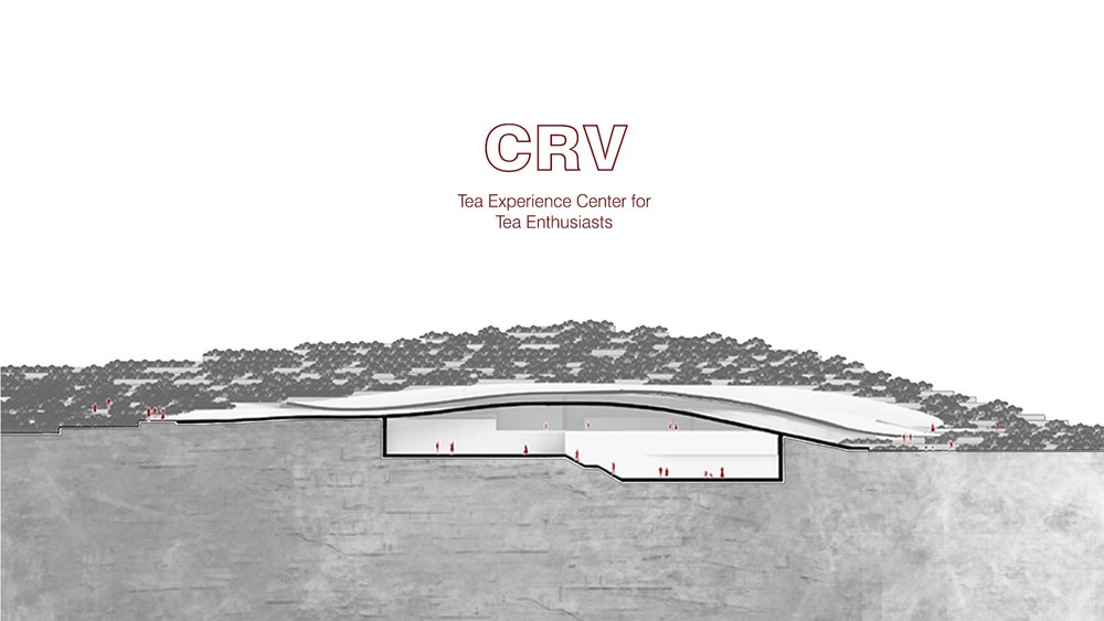 CRV - Tea Experience Center 