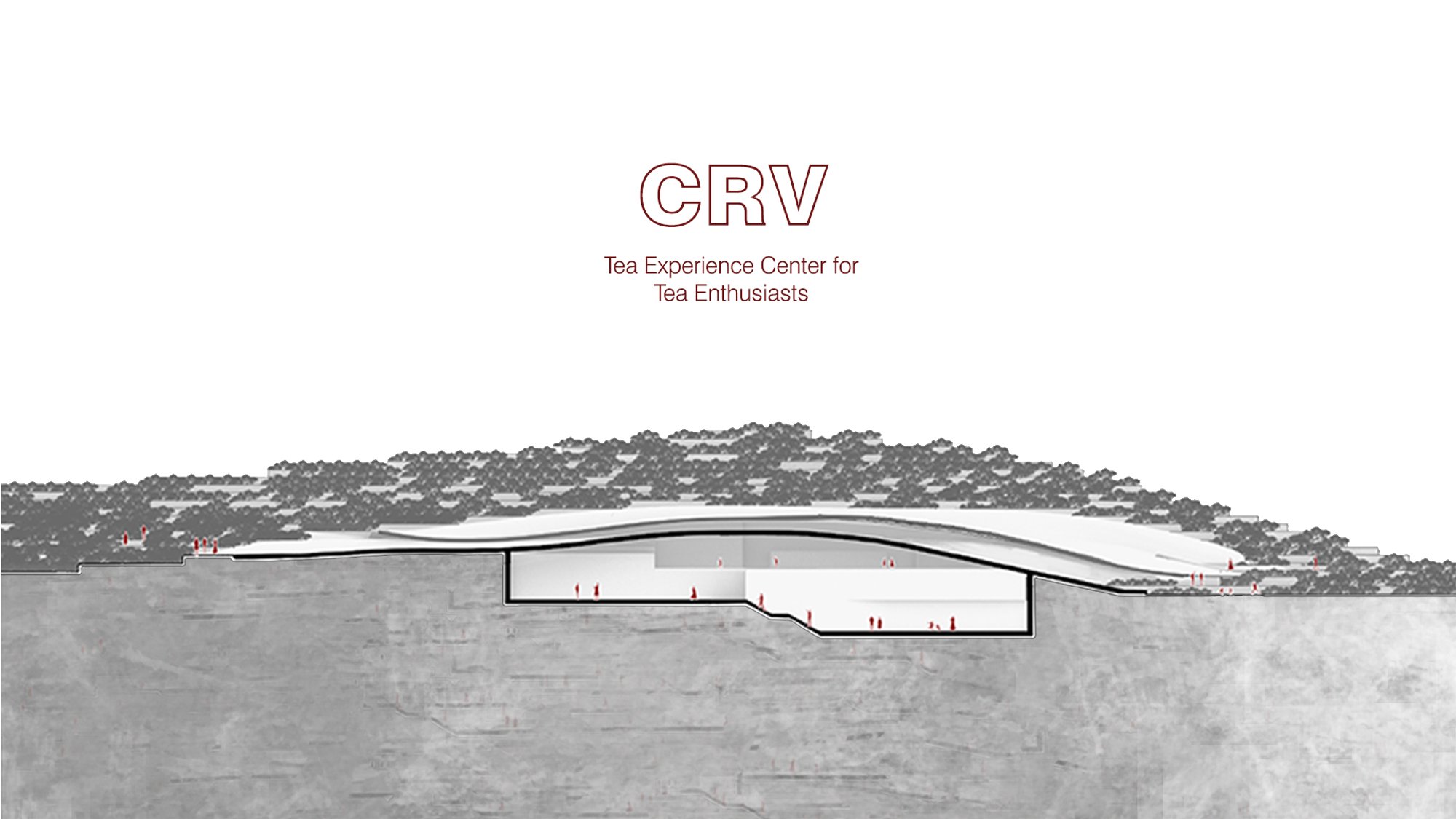 CRV - Tea Experience Center 