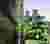 Render 3