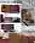 3D Images