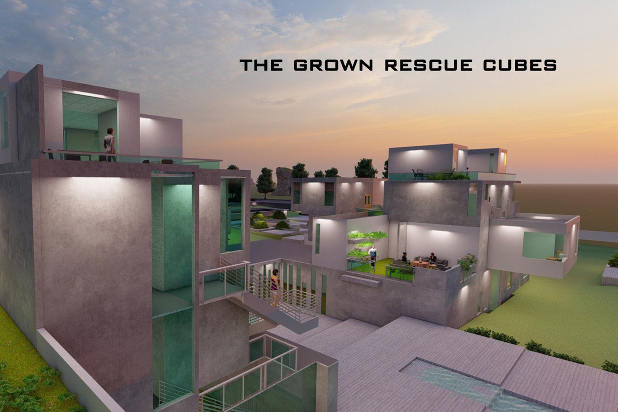 The Grown Rescue Cubes
