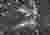 18. PERFORMATIVE VOID: 2100´