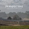 Perspective