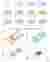 02_Form Evo / Diagrams