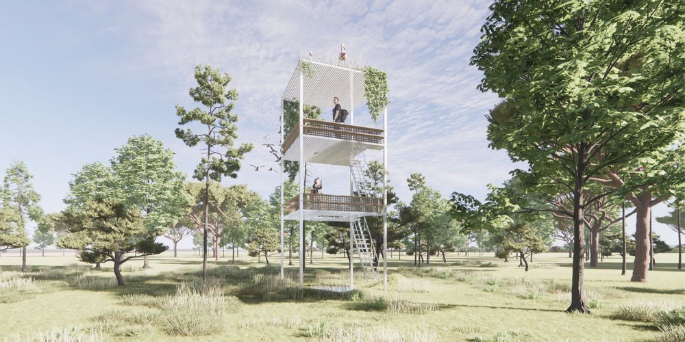 Watching Wild
Platform Ark 