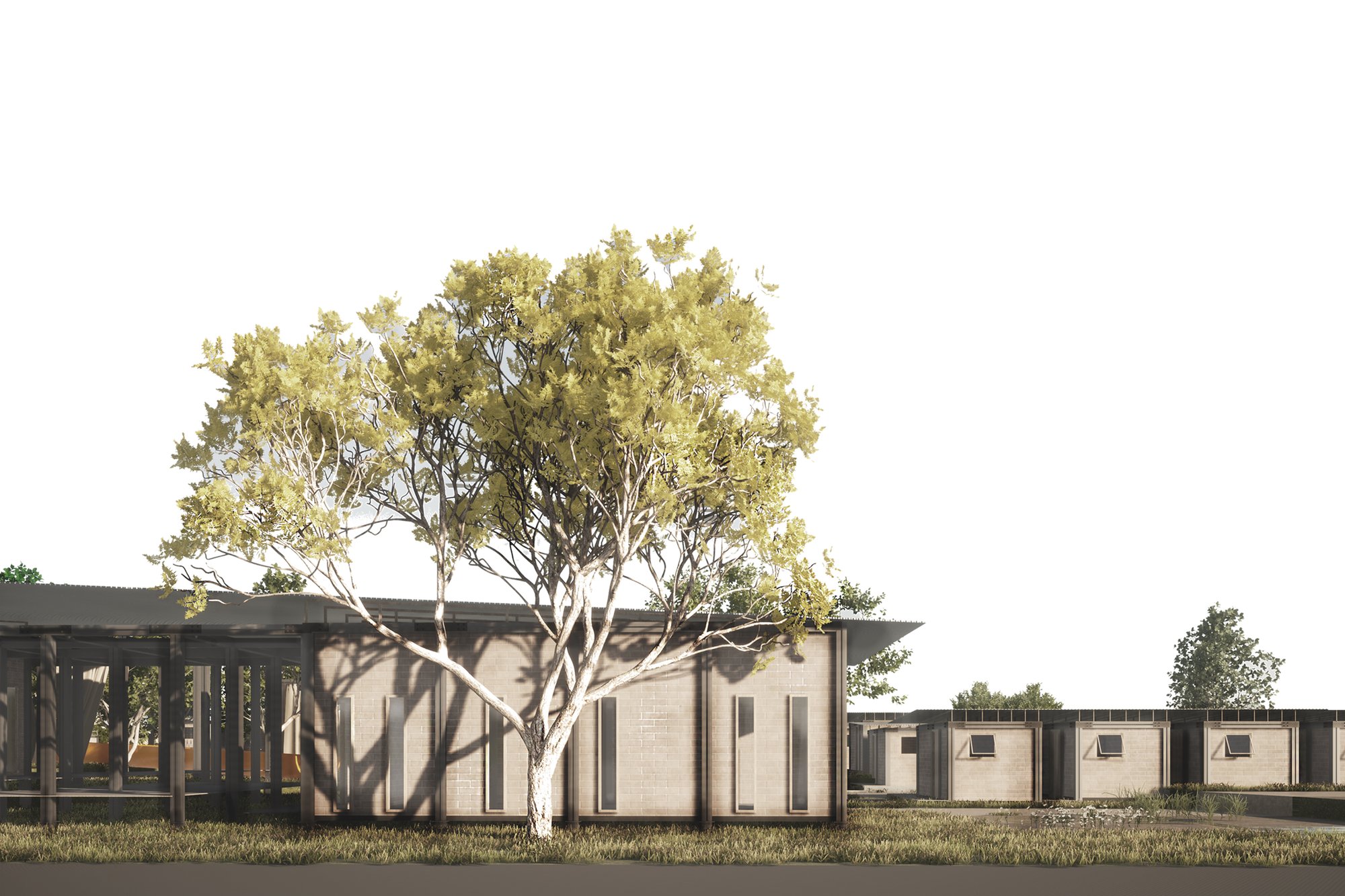 NEW STAGE for Caminantes