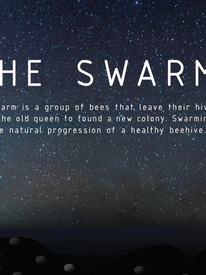 THE SWARM