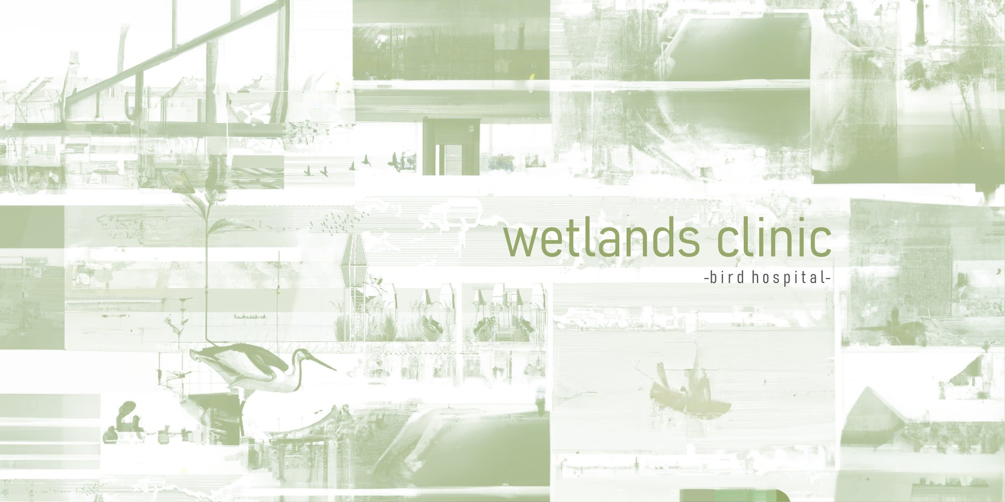 wetlands clinic