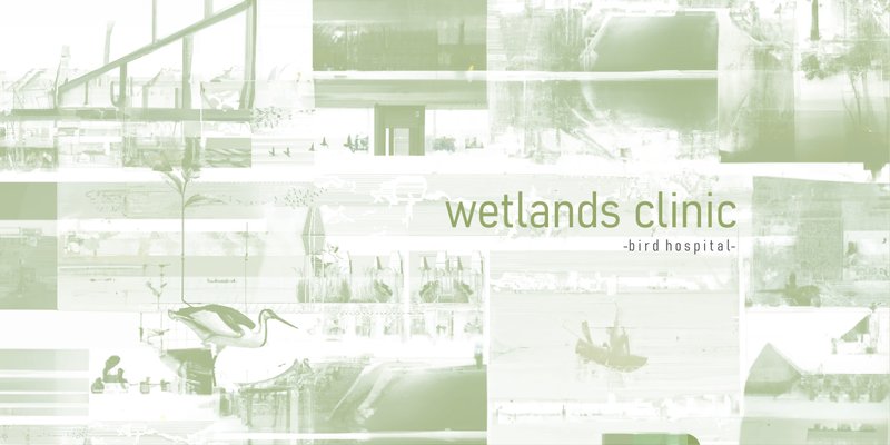 wetlands clinic