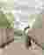 An ambient view