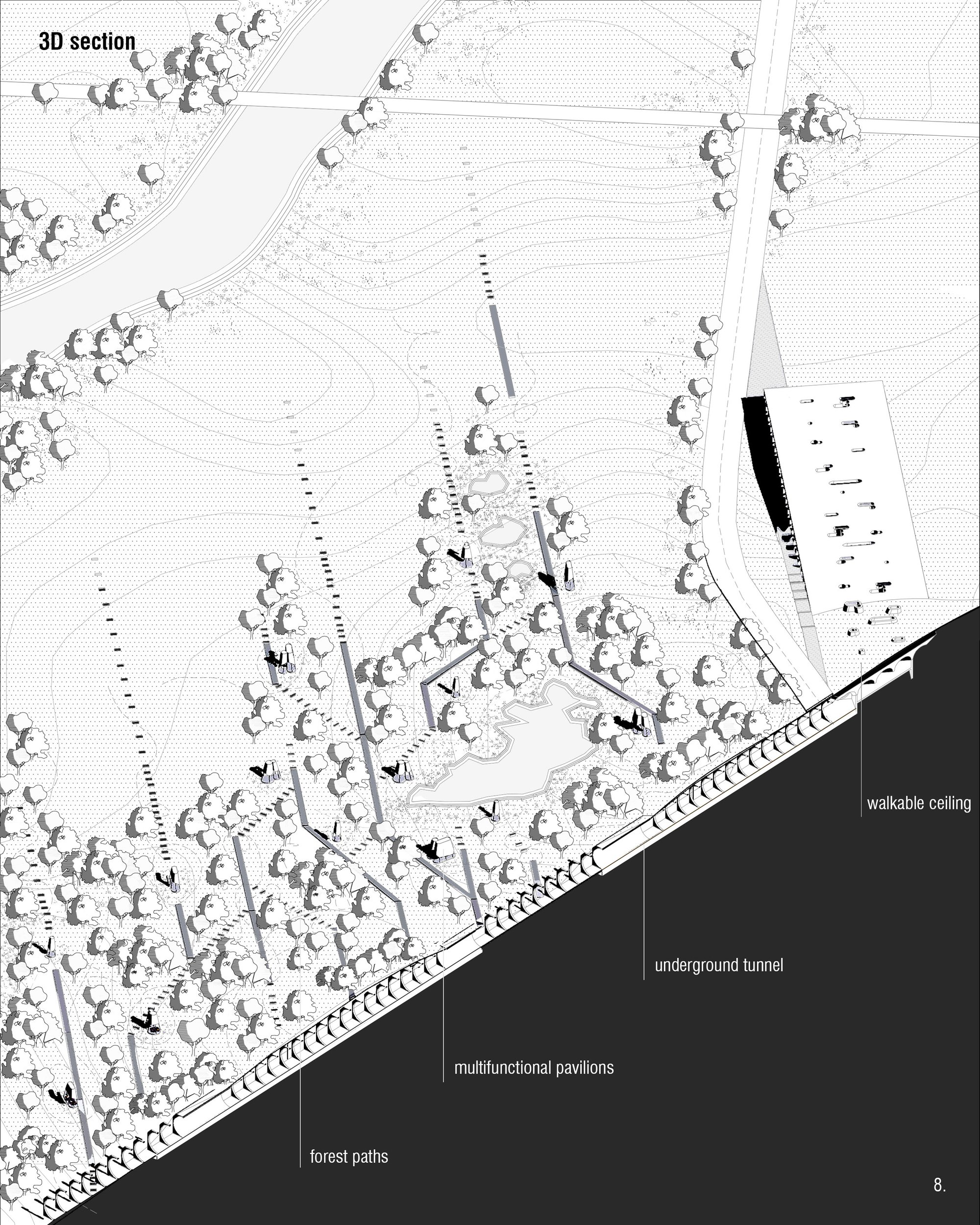 3D section