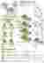 SITE ANALYSIS
