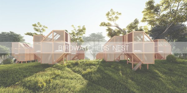 BIRDWATCHERS' NEST