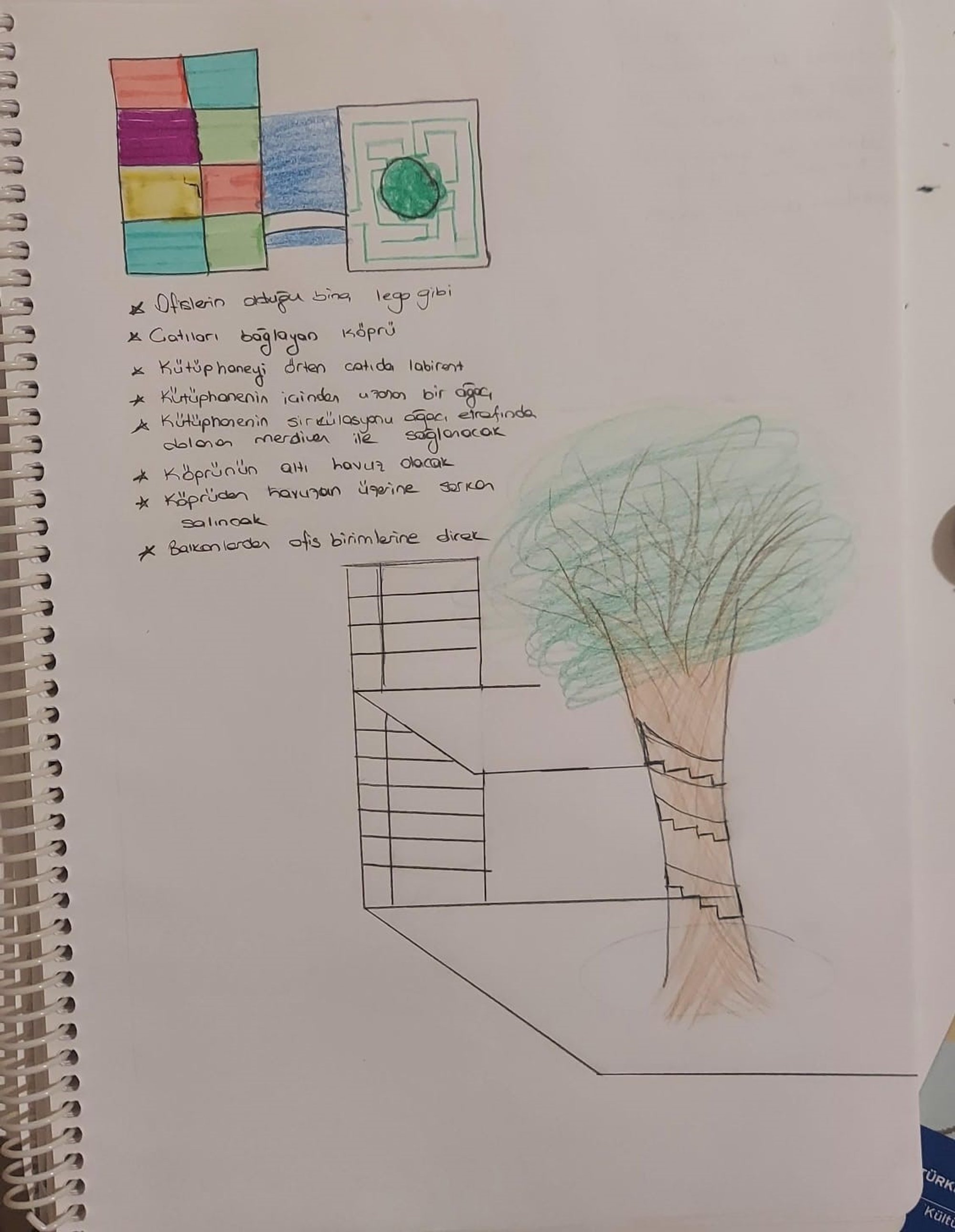 Child's Ideas