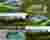 Render Sheet