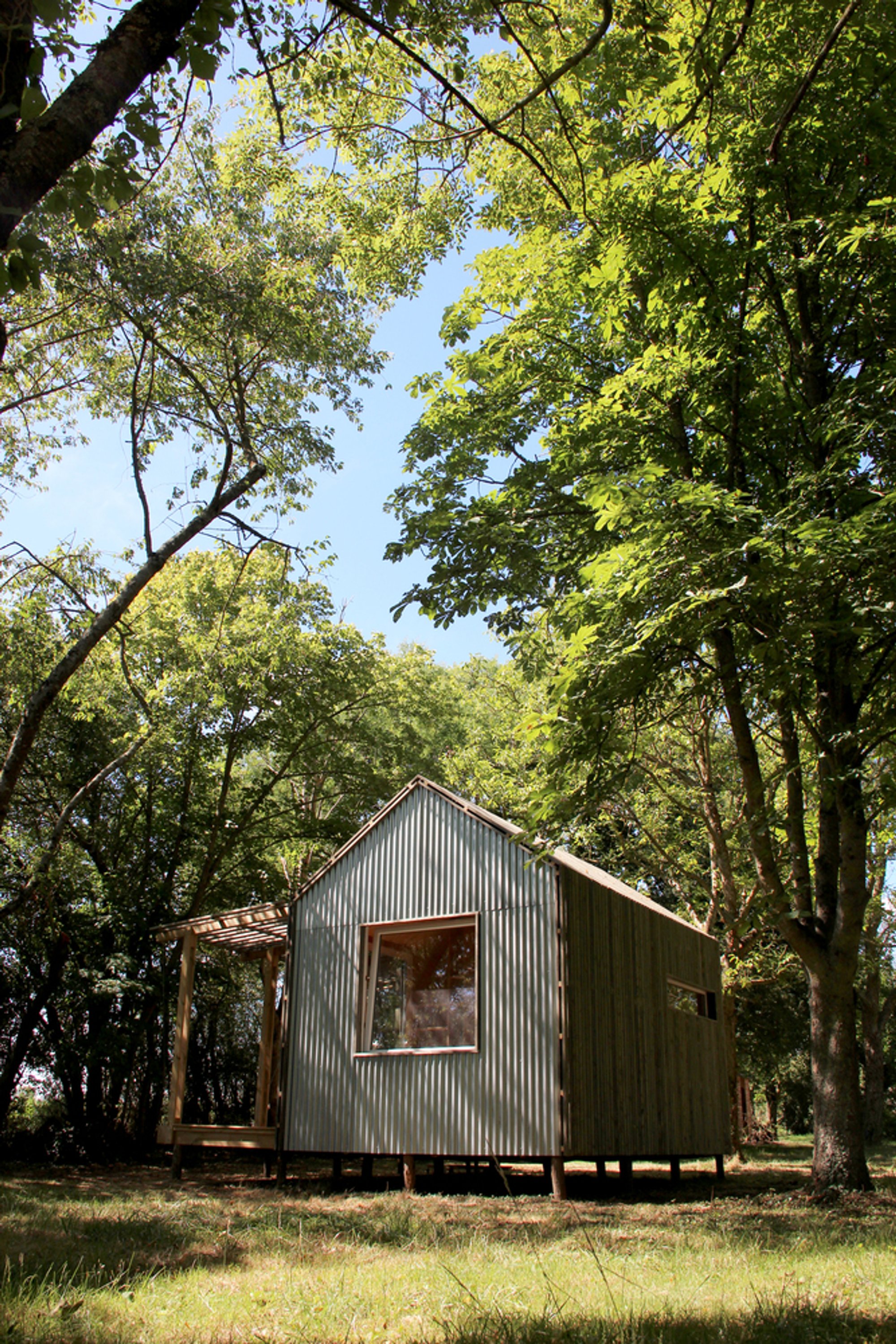 Image 4