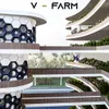 V - FARM