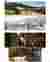 Renders