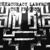BUREACURACY LABYRINTH 
-THE PROCESS