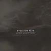 MYCELIUM PATH
wetland research center