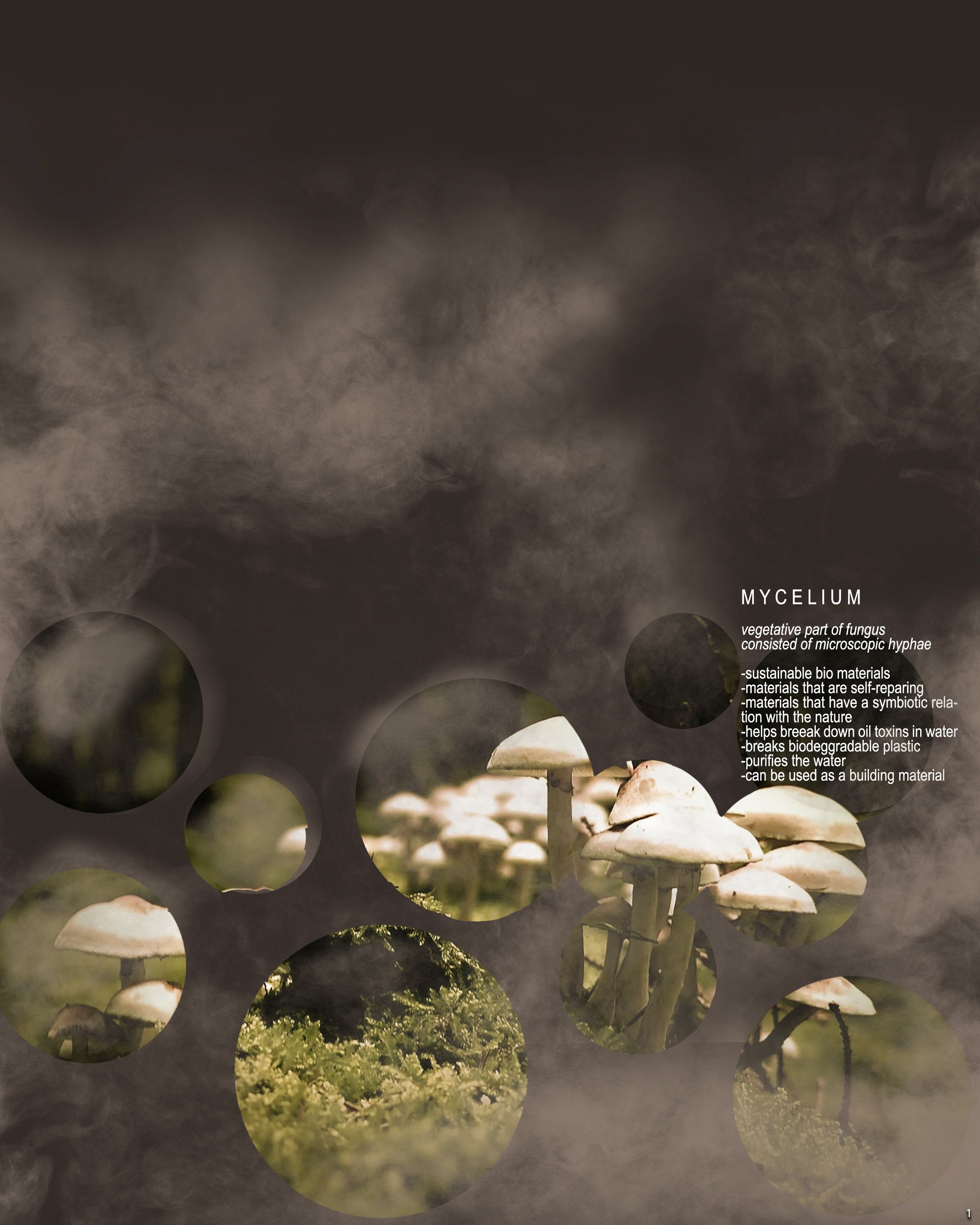 Mycelium