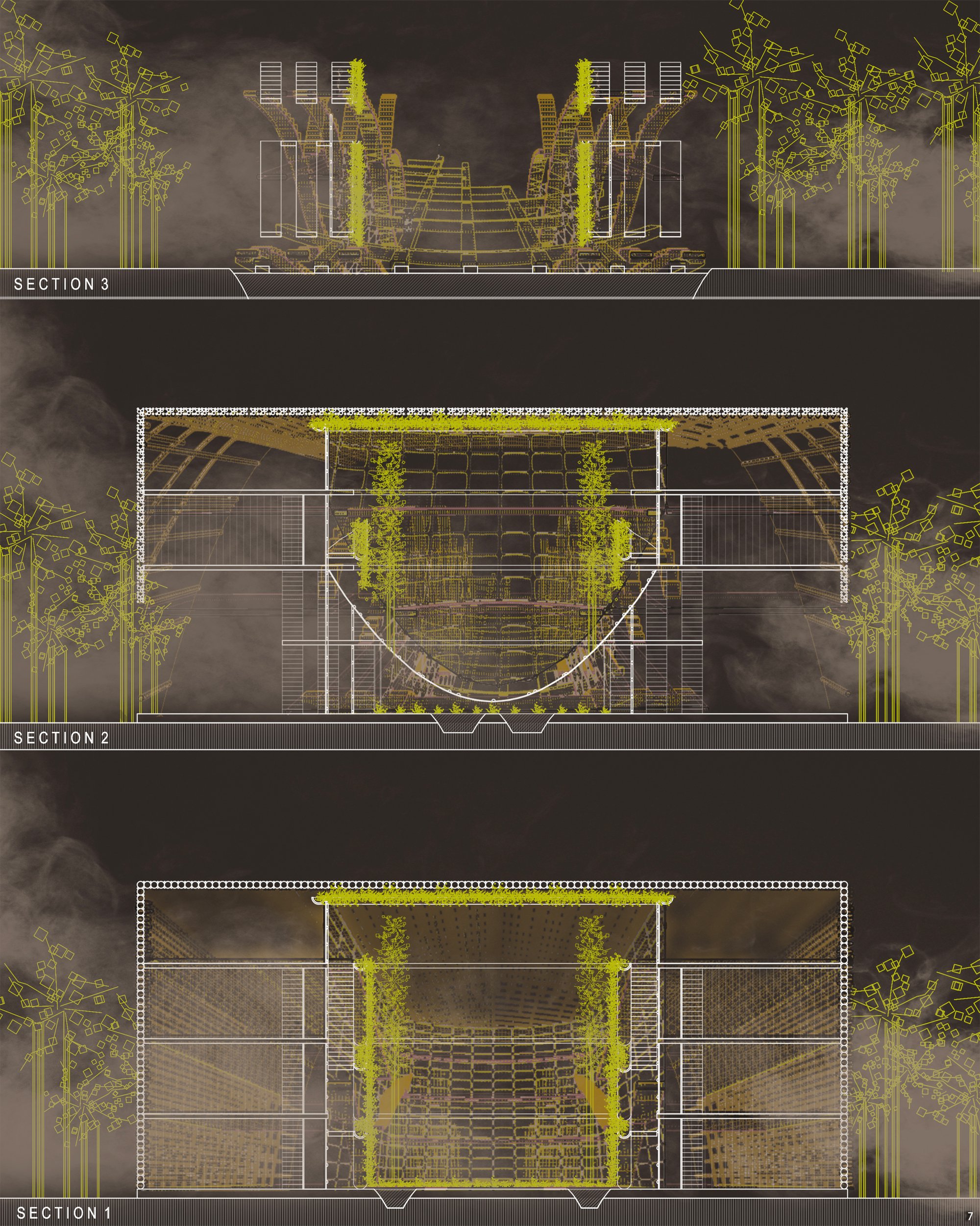 Perspective section