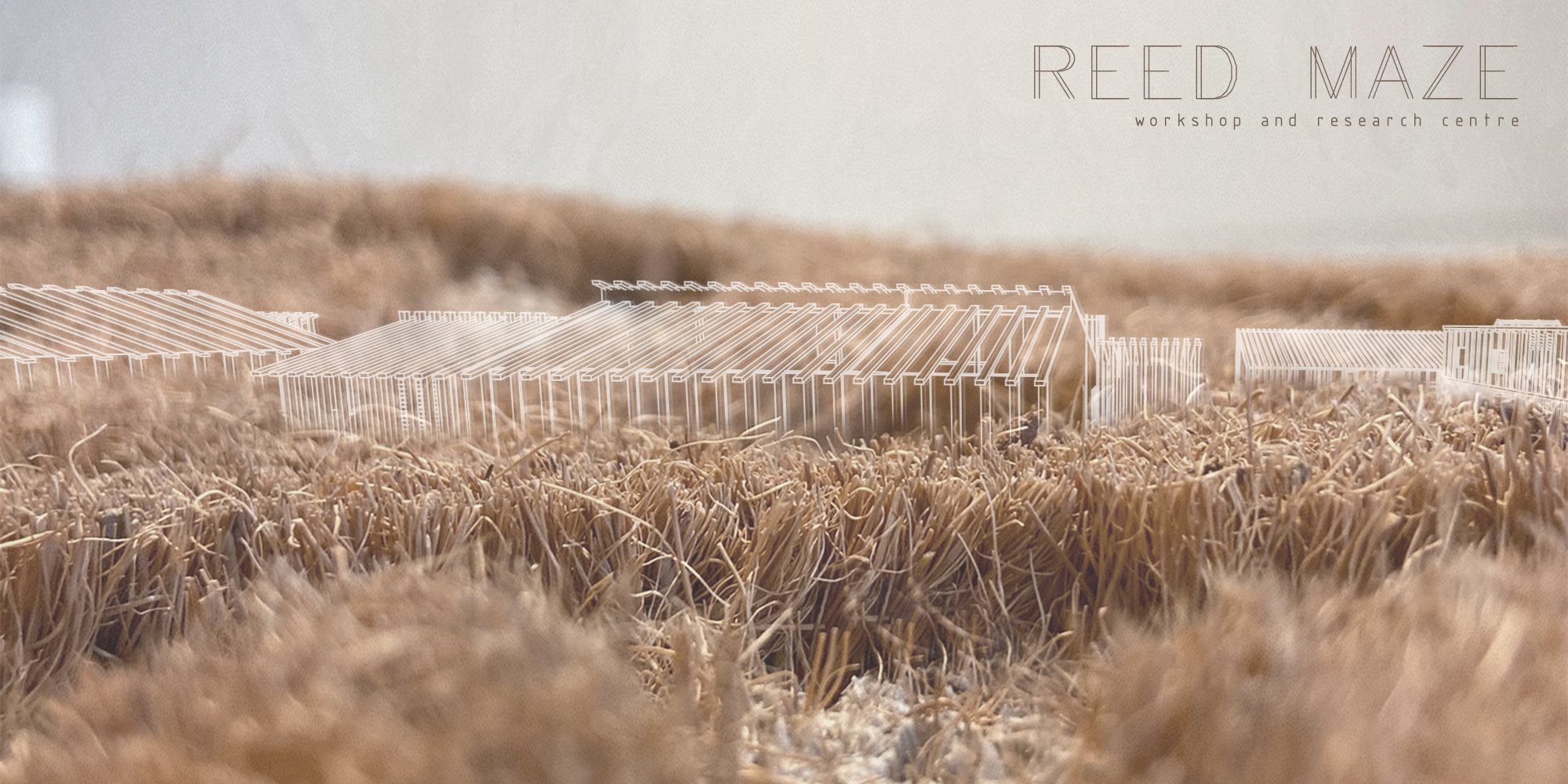 REED MAZE 
 workshop and research centre