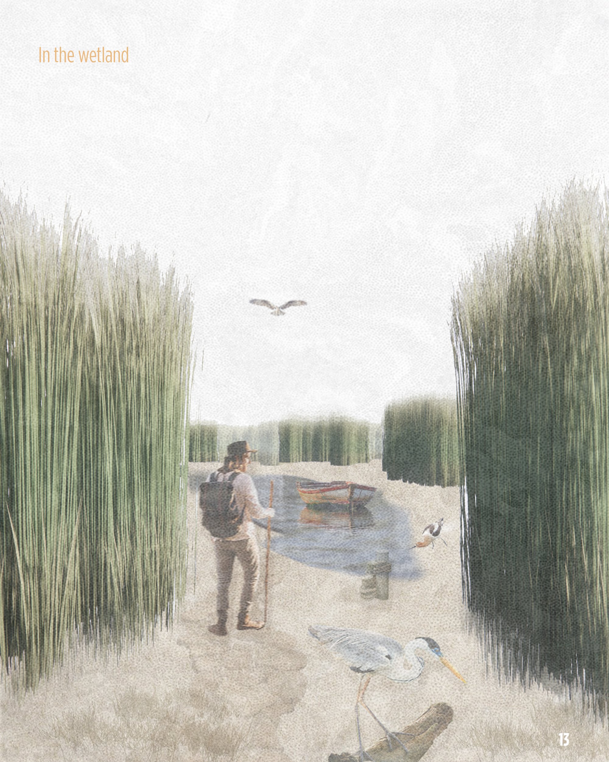 Image 14