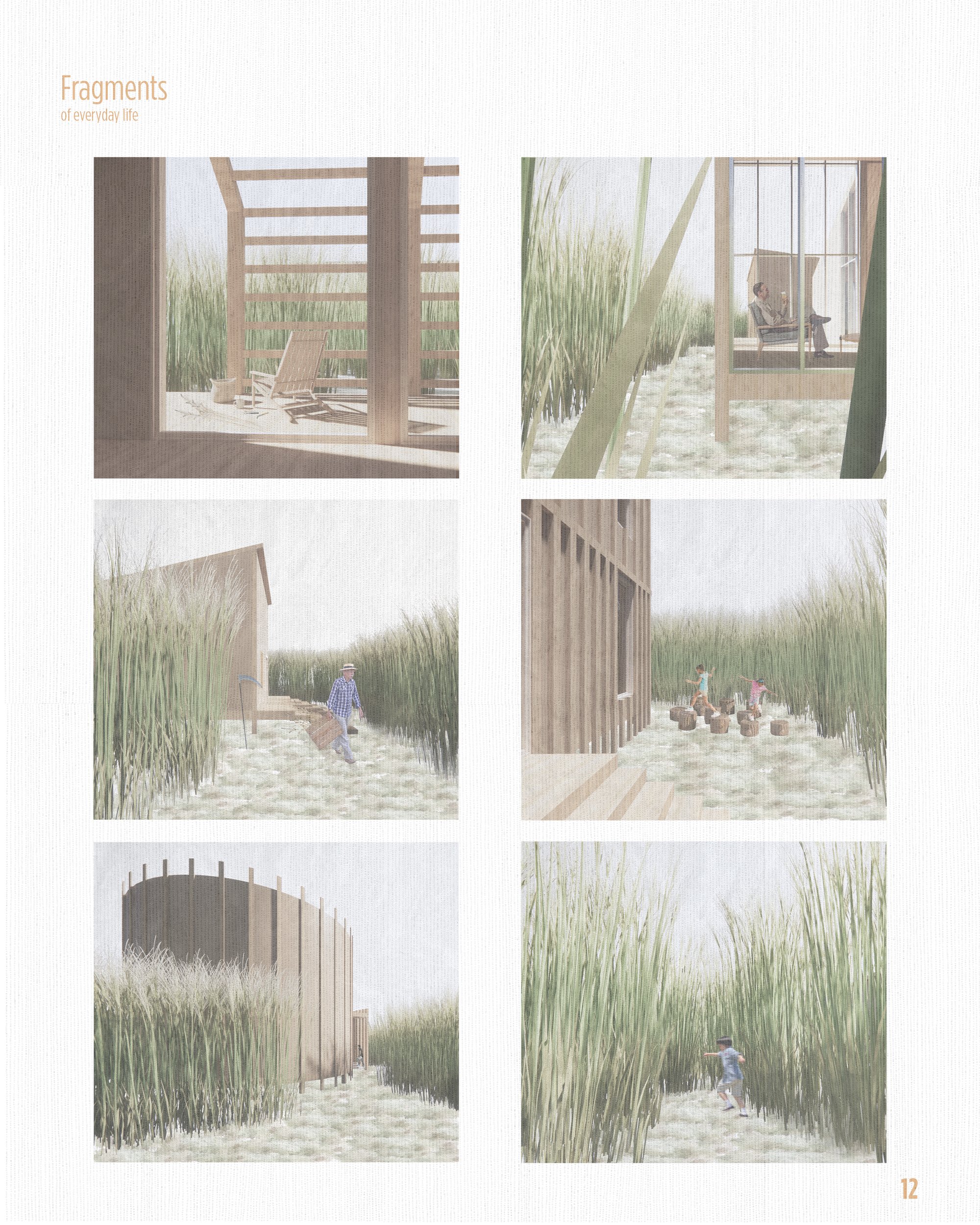 Image 13