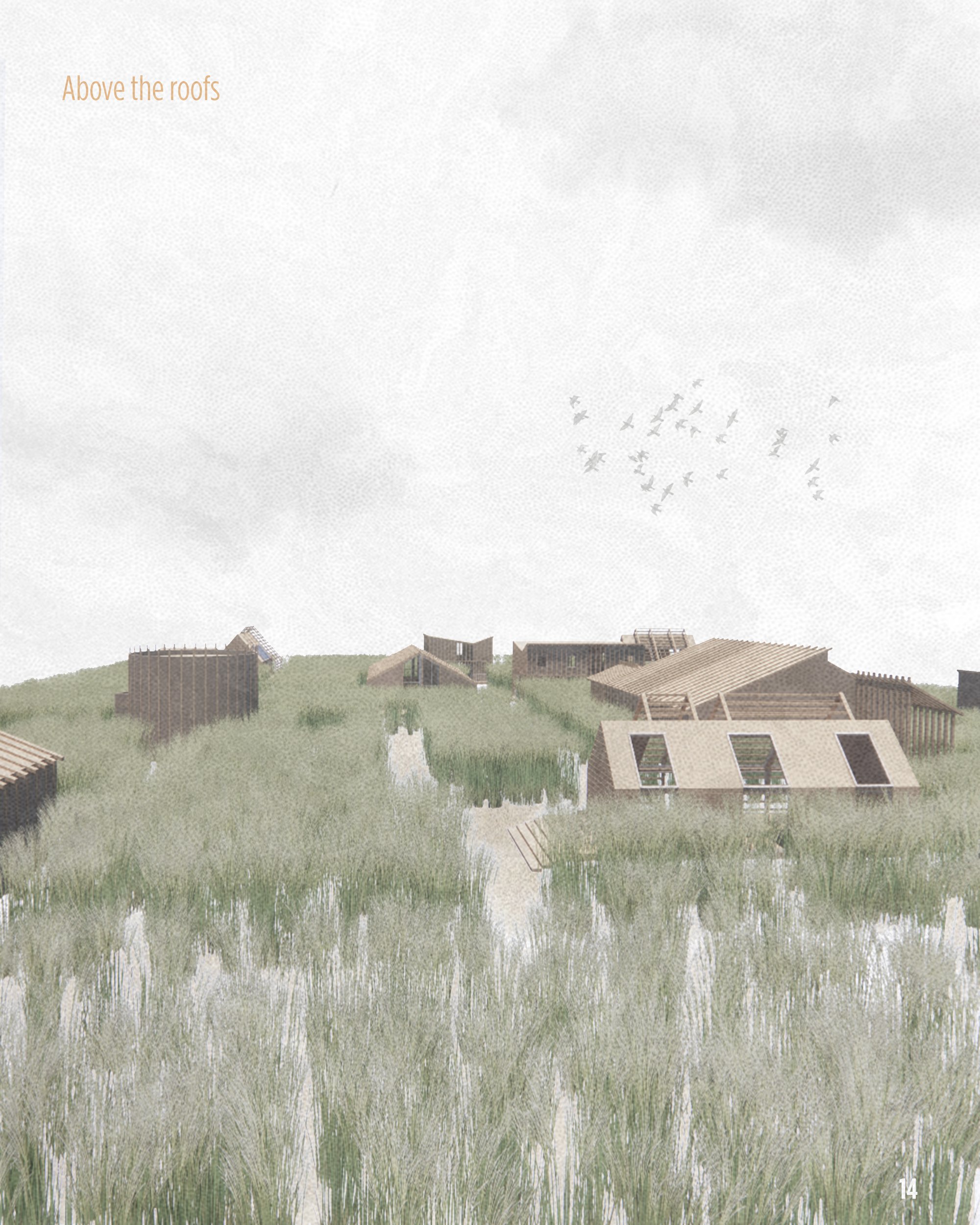 Image 15