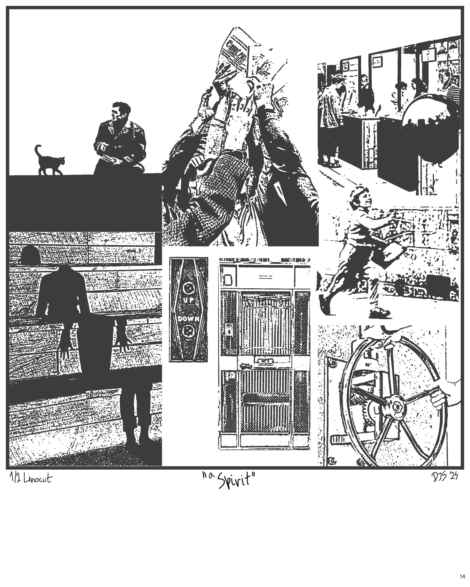 Image 15