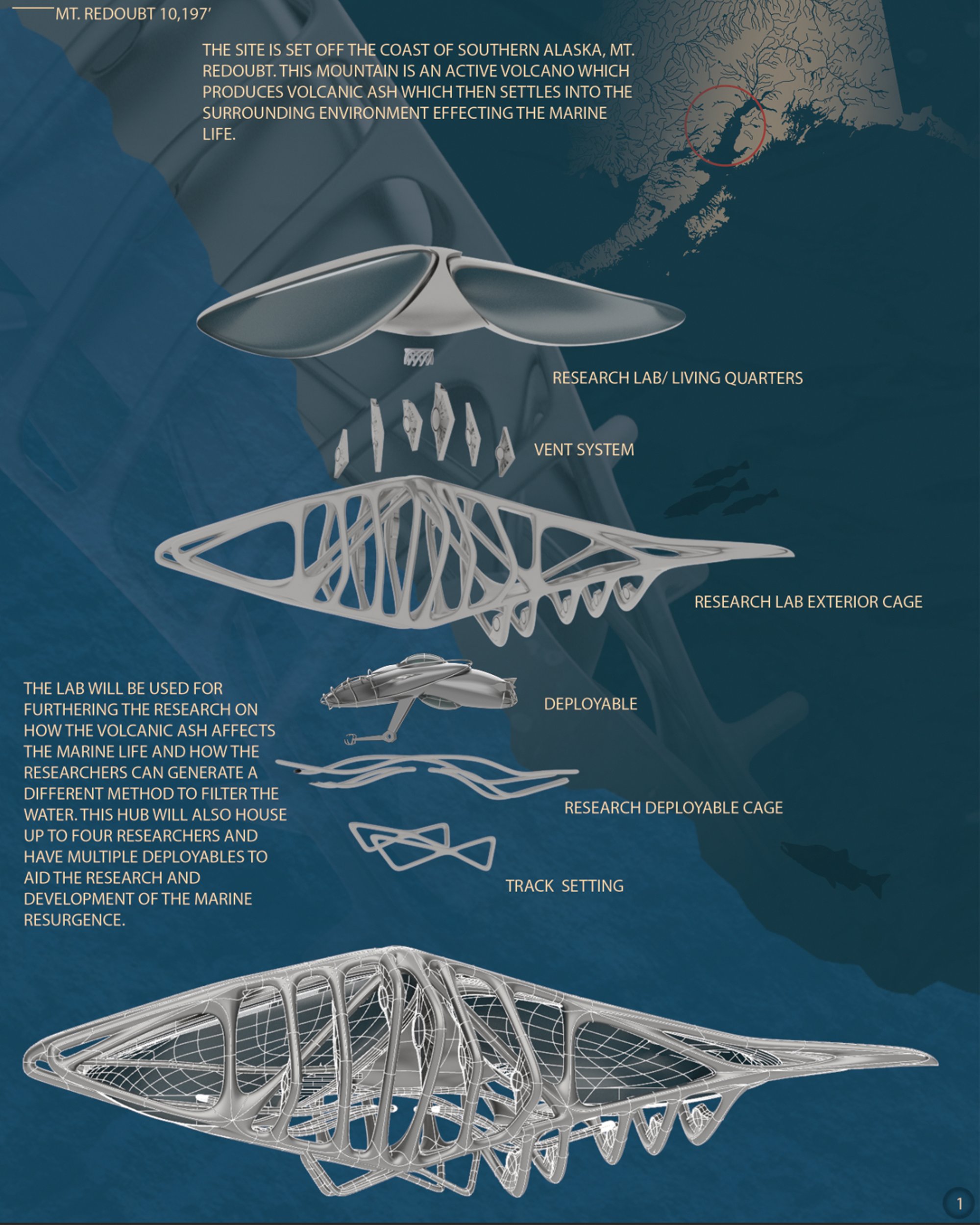 MODEL BOARD
