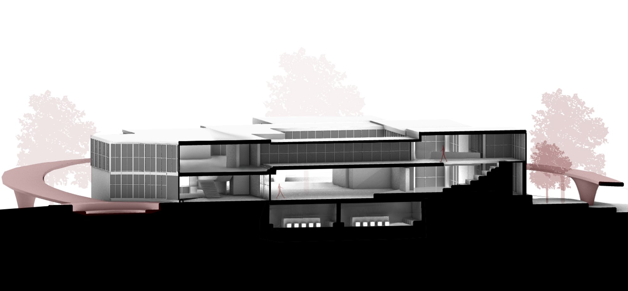 Image 20