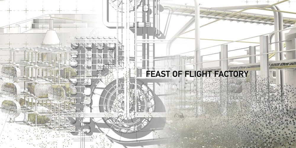FEAST OF FLIGHT FACTORY