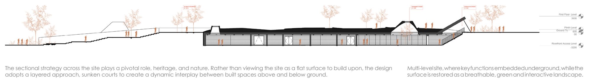 Site Section