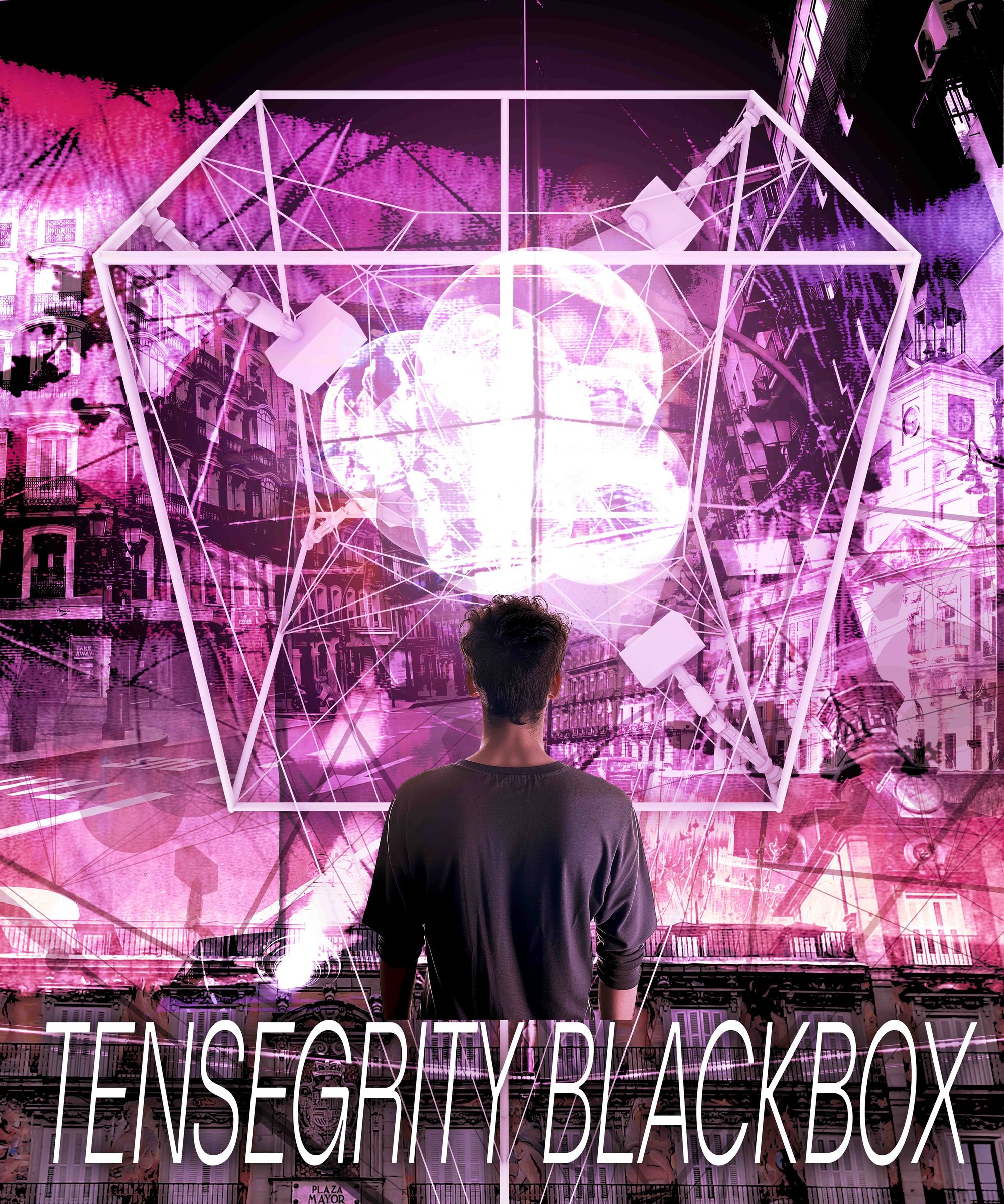 Tensegrity Blackbox 