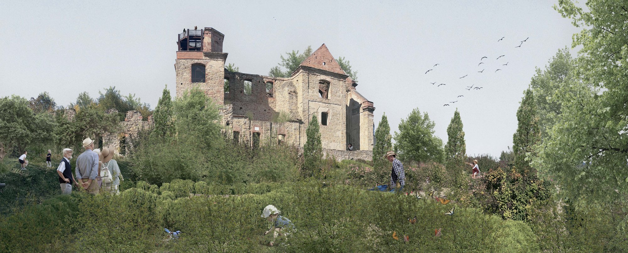 Nature’s Sanctuary