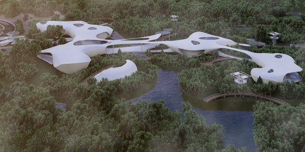 A Journey Beneath the Surface