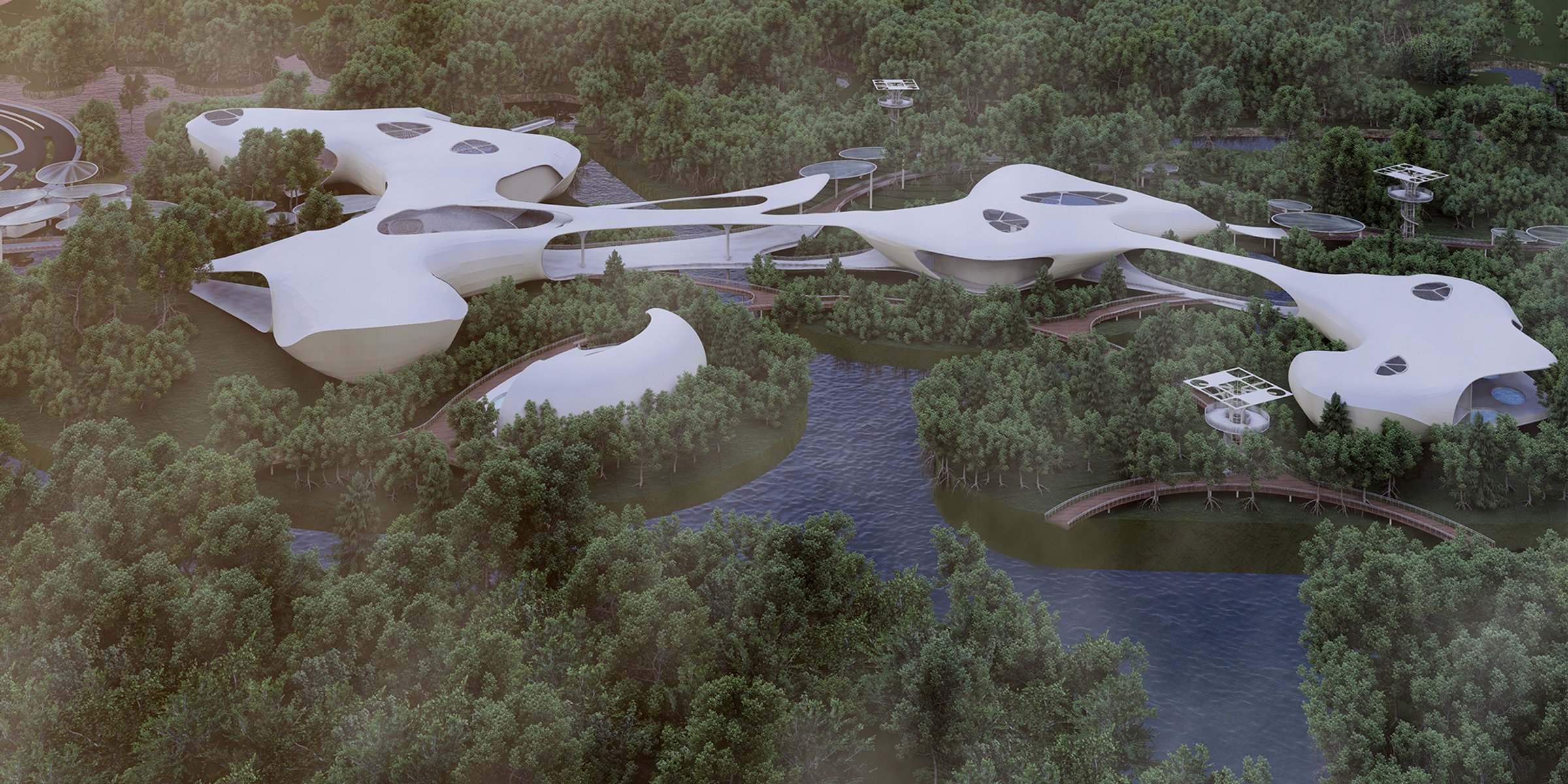 A Journey Beneath the Surface