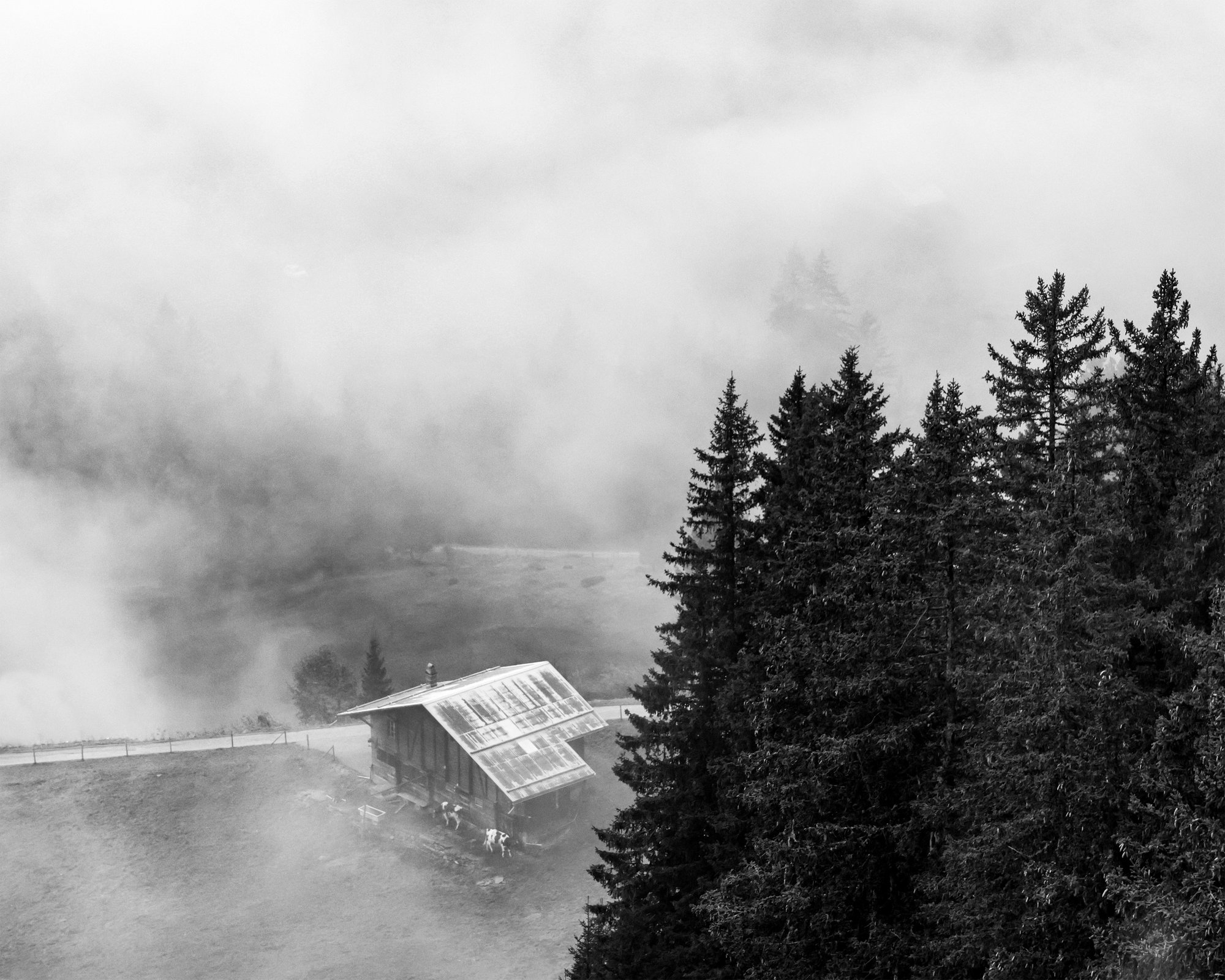 Manufactured: Shelter