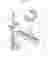 Image 29