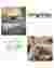 Material Choice and Interiors