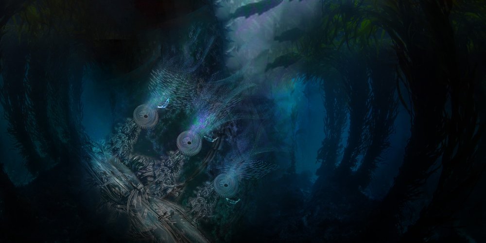 The Cathedral of Breath